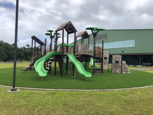Pacific Recreation Project - Pahoa Elementary Playground